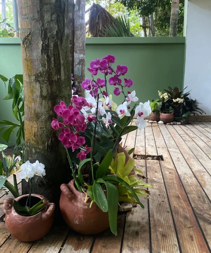 Jardim Secreto Spa Hotel Boutique Porto Seguro